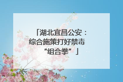 湖北宜昌公安：综合施策打好禁毒“组合拳”