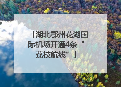 湖北鄂州花湖国际机场开通4条“荔枝航线”