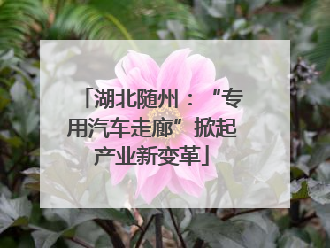 湖北随州：“专用汽车走廊”掀起产业新变革