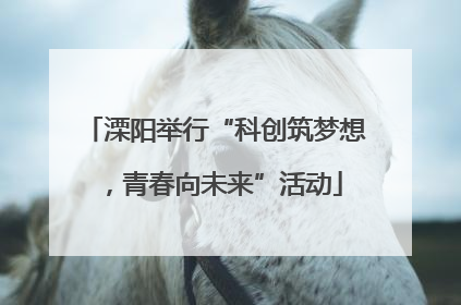 溧阳举行“科创筑梦想，青春向未来”活动