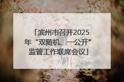滨州市召开2025年“双随机、一公开” 监管工作联席会议