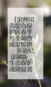 滨州贝壳堤岛保护区春季鸟类调查成果惊艳：多项纪录刷新，生态保护成效显著