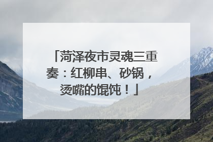 菏泽夜市灵魂三重奏：红柳串、砂锅，烫嘴的馄饨！