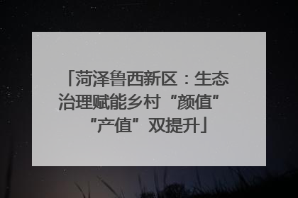 菏泽鲁西新区：生态治理赋能乡村“颜值”“产值”双提升