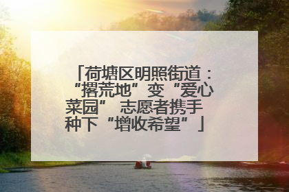 荷塘区明照街道：“撂荒地”变“爱心菜园” 志愿者携手种下“增收希望”