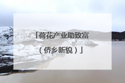 荷花产业助致富（侨乡新貌）
