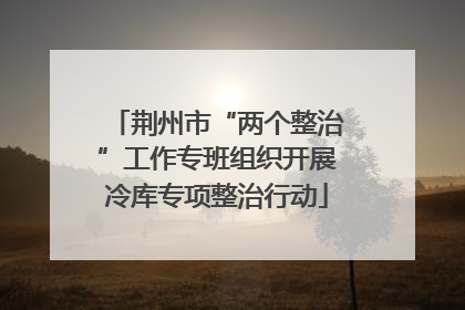 荆州市“两个整治”工作专班组织开展冷库专项整治行动