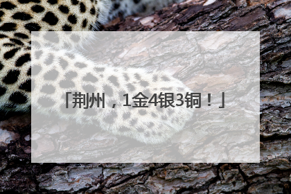 荆州，1金4银3铜！