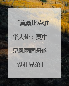 莫桑比克驻华大使：莫中是风雨同舟的铁杆兄弟