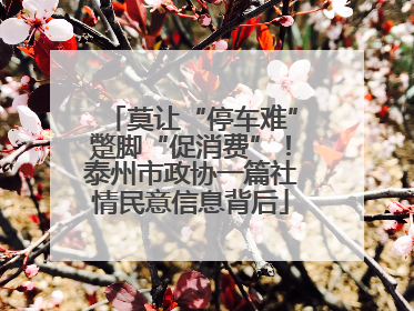 莫让“停车难”蹩脚“促消费”！泰州市政协一篇社情民意信息背后
