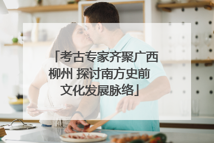 考古专家齐聚广西柳州 探讨南方史前文化发展脉络