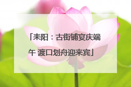 耒阳：古街铺宴庆端午 渡口划舟迎来宾