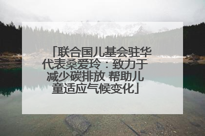 联合国儿基会驻华代表桑爱玲：致力于减少碳排放 帮助儿童适应气候变化