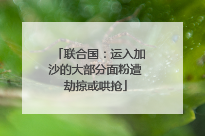 联合国：运入加沙的大部分面粉遭劫掠或哄抢