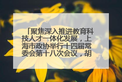聚焦深入推进教育科技人才一体化发展，上海市政协举行十四届常委会第十八次会议，胡文容出席并讲话