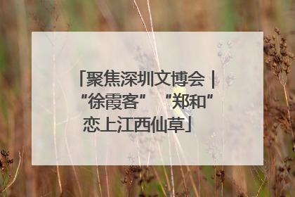 聚焦深圳文博会｜“徐霞客”“郑和”恋上江西仙草