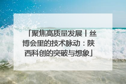 聚焦高质量发展丨丝博会里的技术脉动：陕西科创的突破与想象