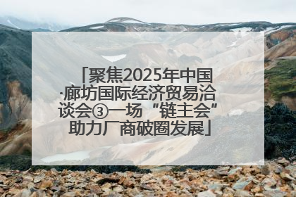 聚焦2025年中国·廊坊国际经济贸易洽谈会③一场“链主会” 助力厂商破圈发展