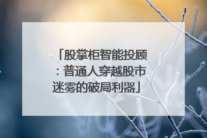 股掌柜智能投顾：普通人穿越股市迷雾的破局利器