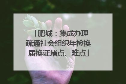 肥城：集成办理 疏通社会组织年检换届换证堵点、难点