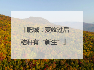 肥城：麦收过后秸秆有“新生”