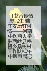 艾香传情惠民生 端午安康驻村情——河南中医药大学驻西峡县寨根乡桑树村工作队端午中医惠民记