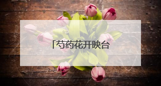 芍药花开映台湖，万亩游憩园绘就初夏诗画