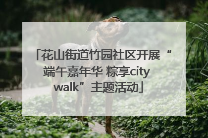 花山街道竹园社区开展“端午嘉年华 粽享city walk”主题活动