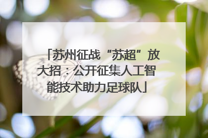 苏州征战“苏超”放大招：公开征集人工智能技术助力足球队
