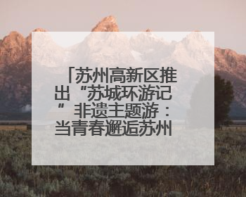 苏州高新区推出“苏城环游记”非遗主题游：当青春邂逅苏州古韵