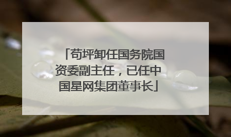 苟坪卸任国务院国资委副主任，已任中国星网集团董事长