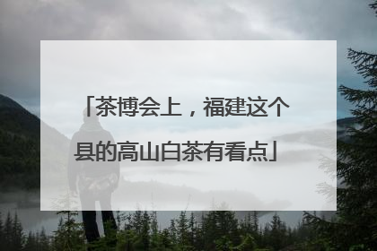 茶博会上，福建这个县的高山白茶有看点