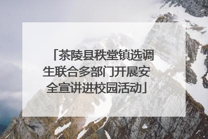 茶陵县秩堂镇选调生联合多部门开展安全宣讲进校园活动