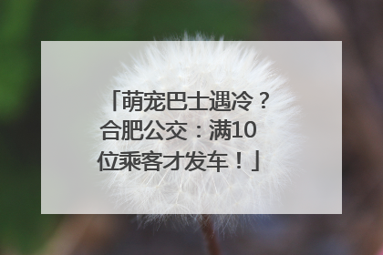 萌宠巴士遇冷？合肥公交：满10位乘客才发车！