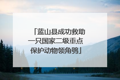 蓝山县成功救助一只国家二级重点保护动物领角鸮