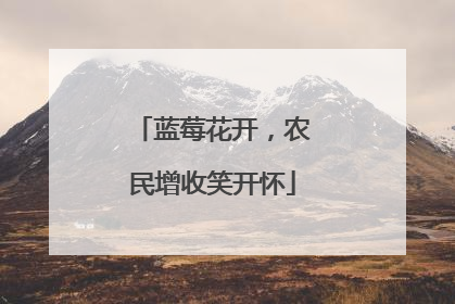 蓝莓花开，农民增收笑开怀