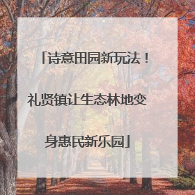 诗意田园新玩法!礼贤镇让生态林地变身惠民新乐园