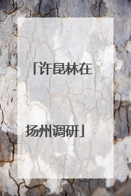 许昆林在扬州调研