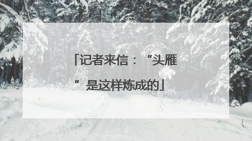 记者来信：“头雁”是这样炼成的