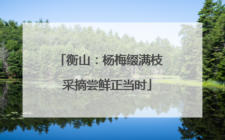 衡山：杨梅缀满枝 采摘尝鲜正当时