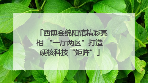 西博会绵阳馆精彩亮相 “一厅两区”打造硬核科技“矩阵”