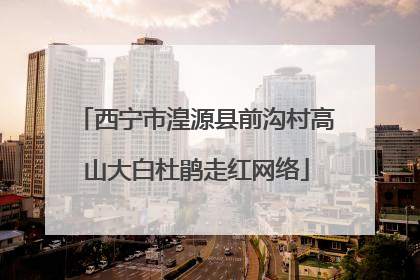 西宁市湟源县前沟村高山大白杜鹃走红网络