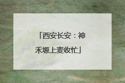 西安长安：神禾塬上麦收忙