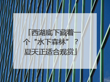 西湖底下藏着一个“水下森林”？夏天正适合观赏