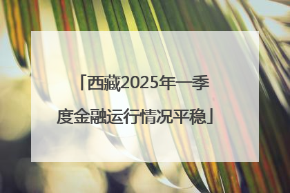 西藏2025年一季度金融运行情况平稳