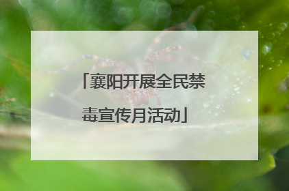 襄阳开展全民禁毒宣传月活动