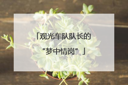 观光车队队长的“梦中情岗”