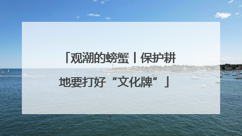 观潮的螃蟹丨保护耕地要打好“文化牌”
