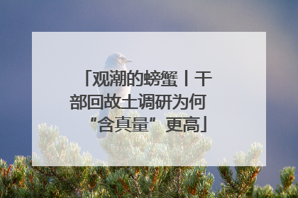 观潮的螃蟹丨干部回故土调研为何“含真量”更高