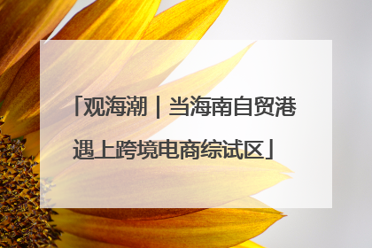 观海潮｜当海南自贸港遇上跨境电商综试区